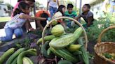 CA Climate Bond Must Invest in Resilient Food & Farm Infrastructure