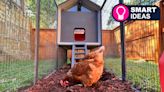 Killing Colonel Sanders: The world's first smart chicken coop is coming for your backyard