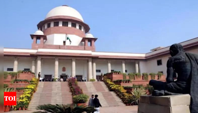 'Political vendetta': SC stays HC order against TV channel | India News - Times of India