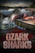 Ozark Sharks