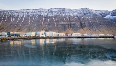 Island bekommt neue Präsidentin: Tómasdóttir gewinnt Wahl