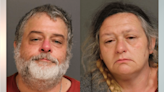 Landlords sentenced after firing guns to terrorize tenant