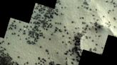 The ESA's ExoMars Orbiter Captures Swarms of Dark "Spiders" on the Surface of Mars