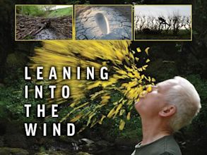 Leaning into the Wind – Andy Goldsworthy