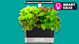 Even if you're terrible with plants, this smart device will help you grow a garden