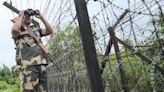 BSF ramps up vigil along Indo-Bangla border in Tripura, holds meeting with BGB amid tension in Bangladesh