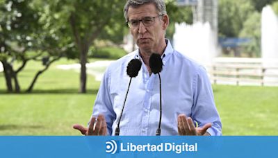 Feijóo amplía su ventaja sobre Sánchez pero necesitaría a Alvise para sumar mayoría absoluta tras el batacazo de Vox