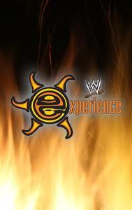 WWE Experience