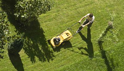 5 Common Lawn Care Mistakes Almost Everyone Makes