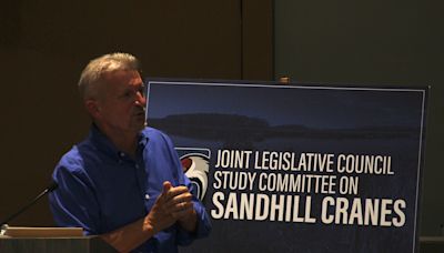 Sandhill crane committee focuses on potential hunting season but spends little time on crop damage