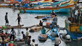Tamil Nadu fishermen protest after death involving Sri Lankan navy. What happened?