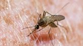 Be vigilant: West Nile Virus detected in St. Joseph and Elkhart counties