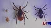 Connecticut sees record high volume of ticks amid rising concerns