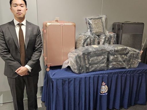 男女任「飛機豬」赴泰國經首爾帶毒回港 警拉人檢$510萬大麻花