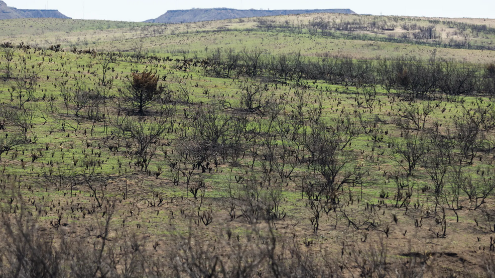 3 months after Texas' largest wildfire, Panhandle residents are preparing for the next one