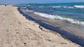 Cerradas varias playas al sur de València por un vertido de combustible