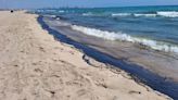 Cerradas las playas de l'Arbre del Gos y El Saler, en València, por un vertido de combustible