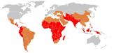 History of typhoid fever