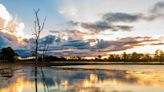 Why You Should Visit The Pantanal, The World’s Largest Tropical Wetland