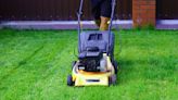 Gardening expert shares methods to turn your garden into 'Wembley pitch'