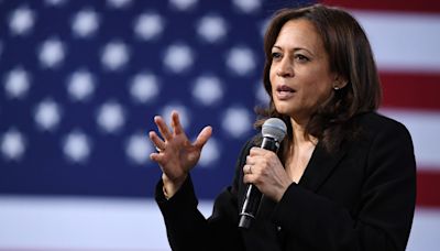 Kamala Harris: las luces y sombras de la posible candidata demócrata a la presidencia