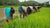 Biodiversity-friendly agriculture in India