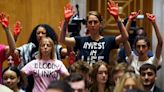 Pro-Palestine protesters repeatedly interrupt Blinken in Senate