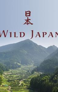 Wild Japan