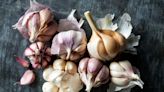 Which Types of Garlic Should You Grow in Your Garden?
