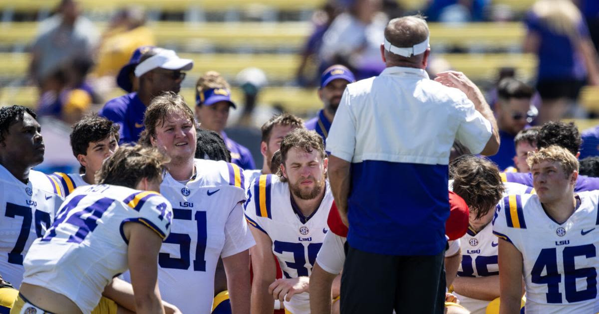 LSU adds a punter through the transfer portal, setting up preseason competition