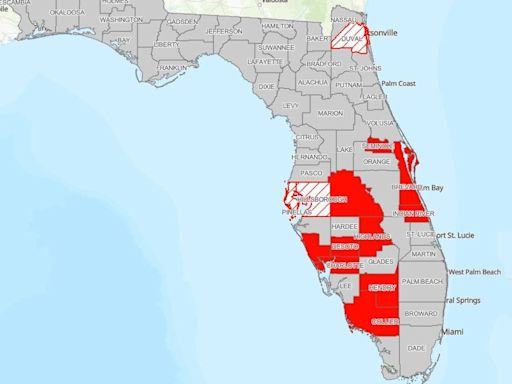Number of Florida counties under burn bans, drought conditions increases. Will it rain soon?