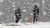 'Icelandic storm' to bring 4cm of snow per hour in days as maps show exact date