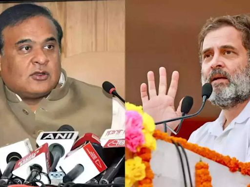 'But who will take your son?': Himanta Biswa Sarma on Sonia Gandhi's emotional pitch in Raebareli | India News - Times of India