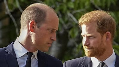 Harry e William, "nessuna possibilità": la frase che spegne la speranza degli inglesi