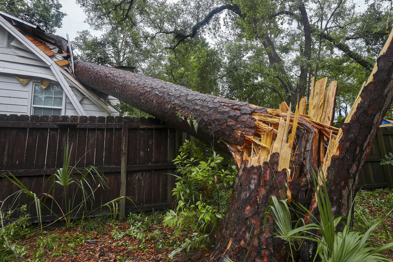 Deadly thunderstorms and strong winds in Florida leave destruction in their wake