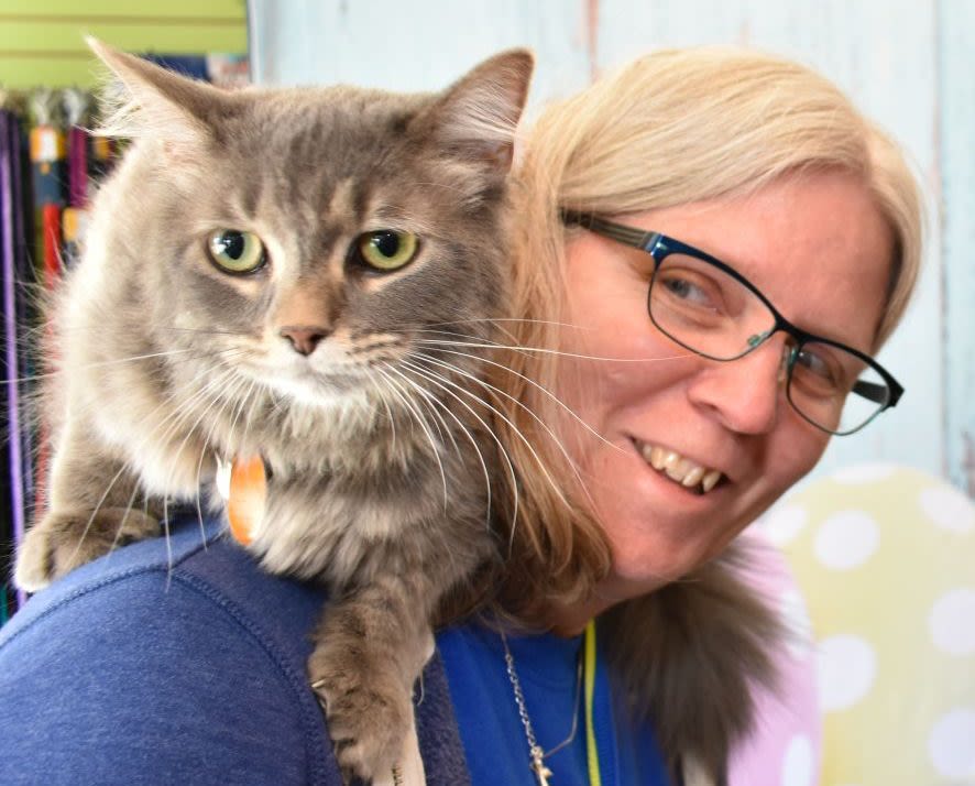 Decent: Felines can be trained to be certified therapy cats, as 7-year-old Sputnik can attest