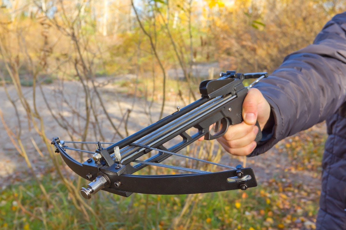 How easy is it to buy a crossbow online? Laws urgently being reviewed after three women killed