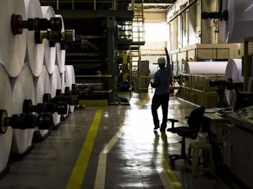 Suzano afirma ter desistido de aquisição da International Paper