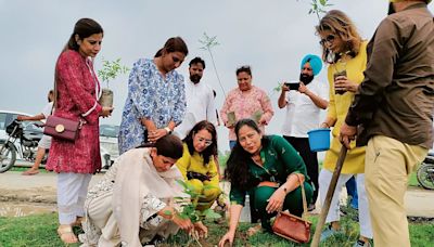 Neem tree plantation drive held in Amritsar