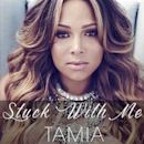 Stuck with Me (Tamia song)