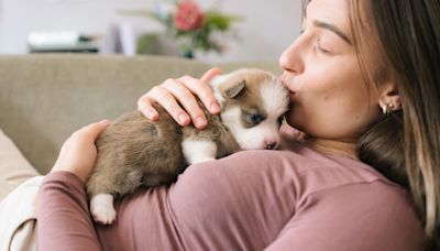 Feeling low after getting a new puppy? Study finds the “puppy blues” are common in new dog parents