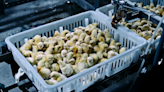Netflix Doc ‘Poisoned’ Reveals How Shockingly Dirty Your Food Is