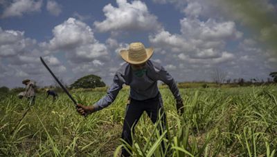 Cuba, Once the Land of Sugar, Now Must Import It