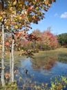 Verona Beach State Park