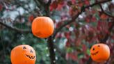 Is it going to rain on your parade? Find out Trick-or-treat times, weather for Halloween