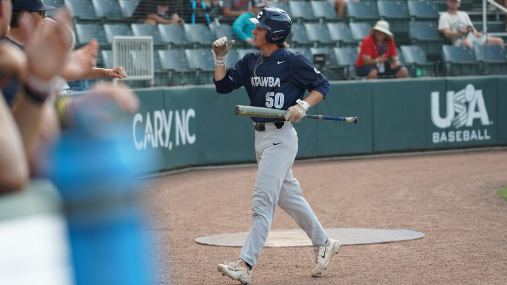College baseball: Indians end special season with semifinal loss to Tampa - Salisbury Post
