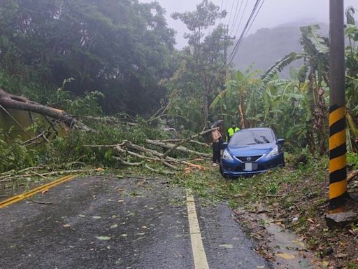 台中轎車遭倒塌路樹波及動彈不得 警方助脫困 (圖)