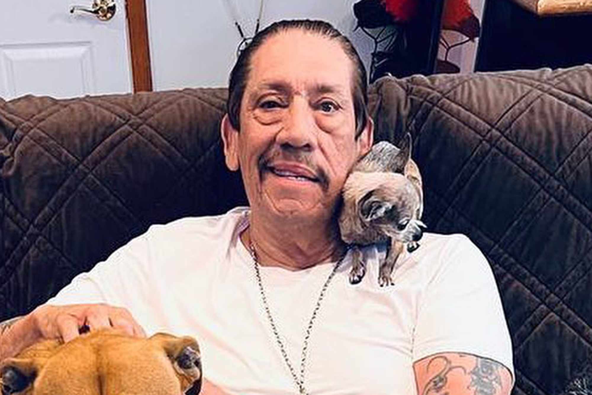 Danny Trejo Mourns ‘Funny’ Chihuahua: Dixie ‘Ruled the House’ Before She Died at Age 16