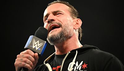 WWE's CM Punk Explains Why He Doesn't Root Against AEW Despite Past Issues - Wrestling Inc.