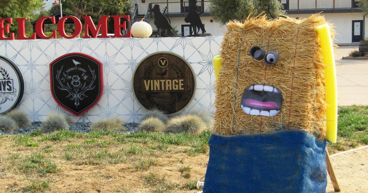 SYV annual scarecrow fests contest kicks off | About Town